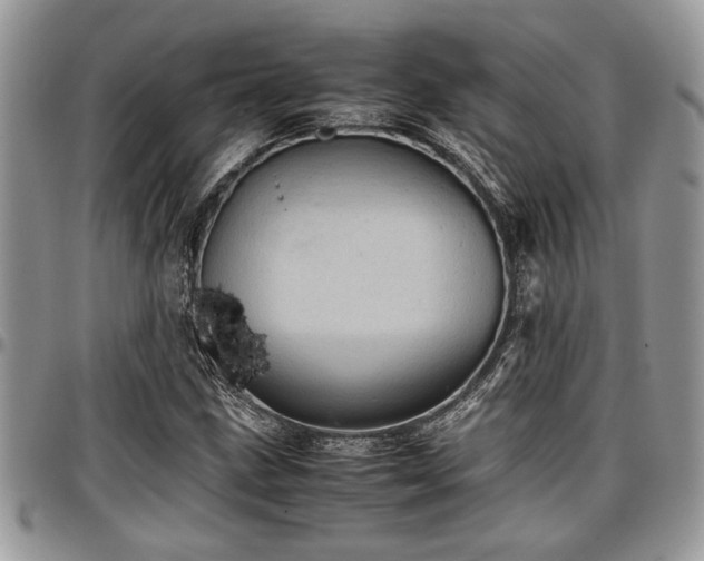 X0000096941211200802151207