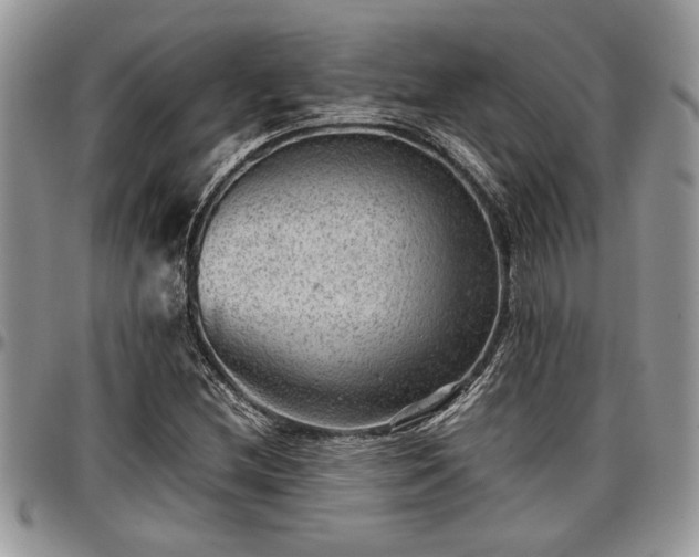 X0000096941212200802151207