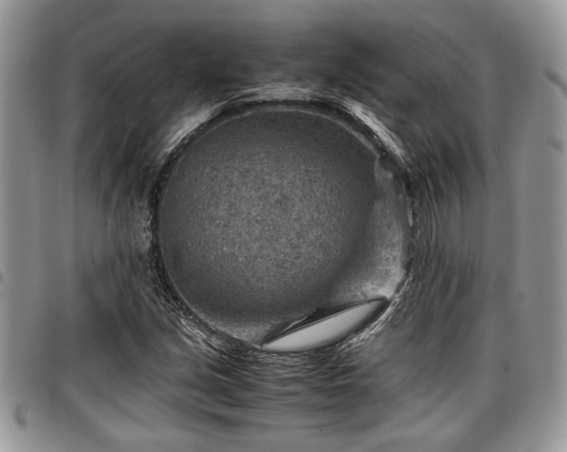 X0000096941213200802151207