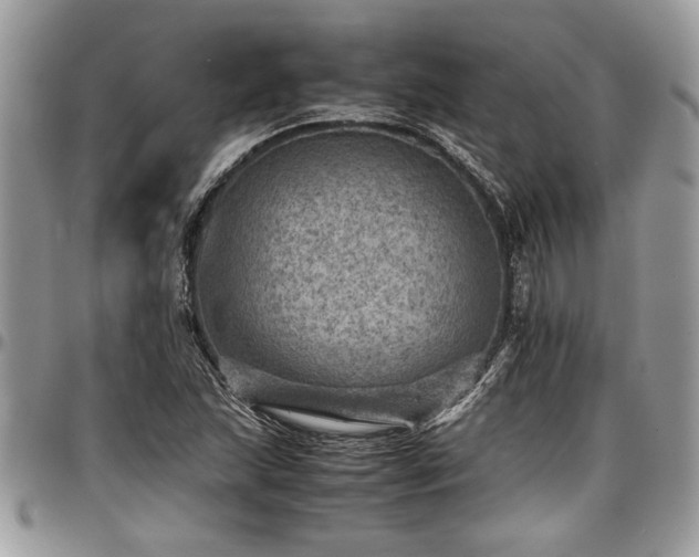 X0000096941215200802151207