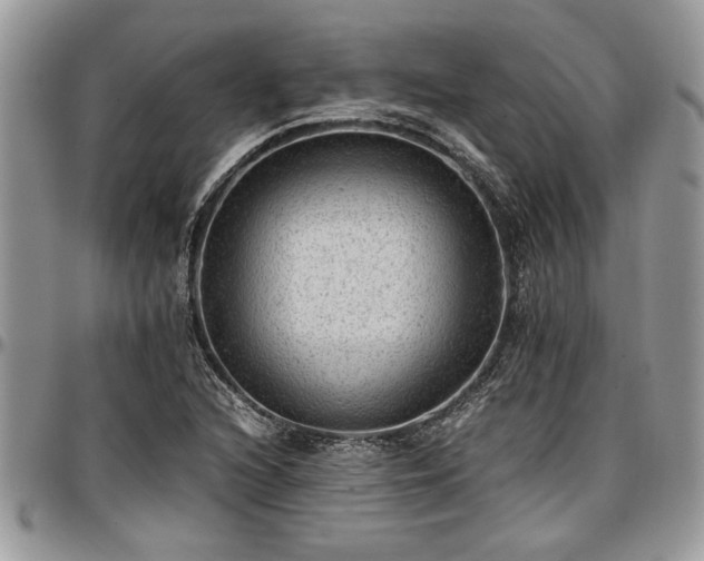 X0000096941216200802151207