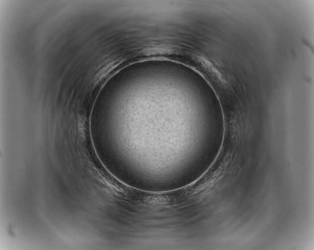 X0000096941217200802151207
