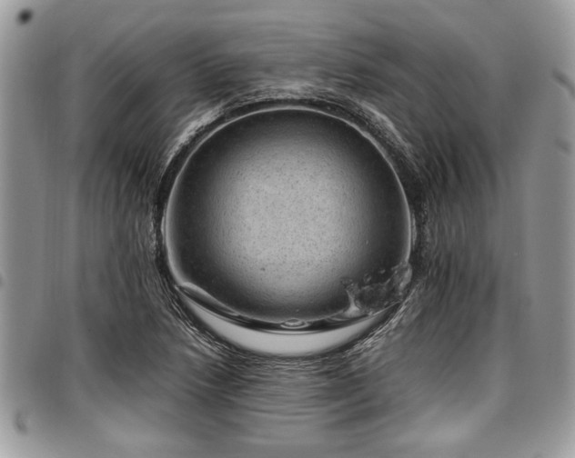 X0000096941218200802151207
