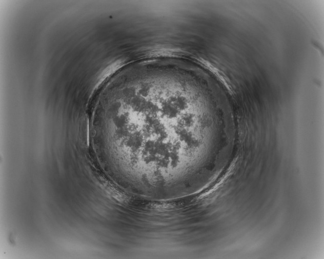 X0000096941219200802151207
