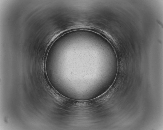 X0000096941220200802151207