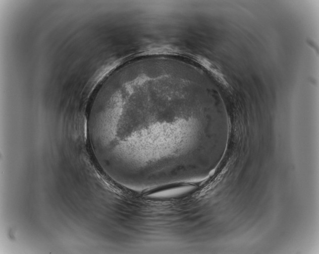 X0000096941221200802151207
