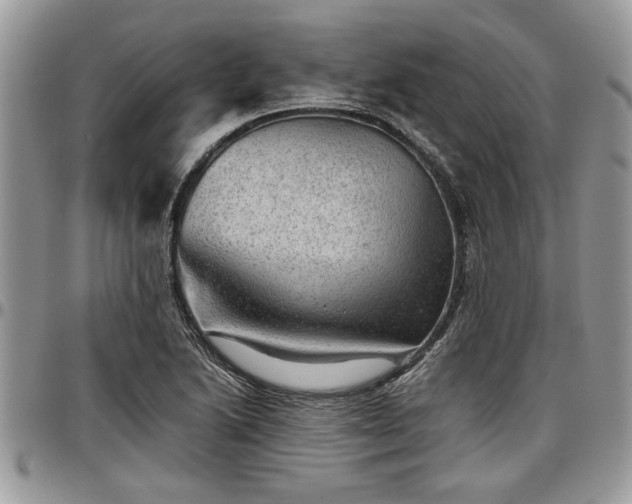 X0000096941222200802151207