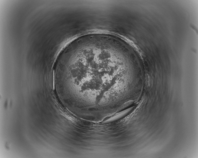 X0000096941223200802151207