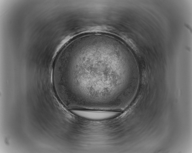 X0000096941224200802151207