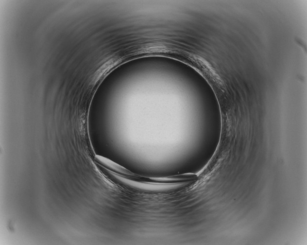 X0000096941225200802151207