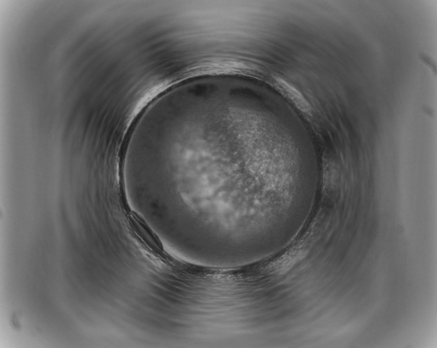 X0000096941226200802151207