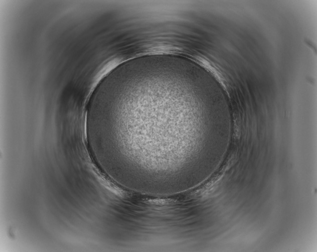 X0000096941227200802151207