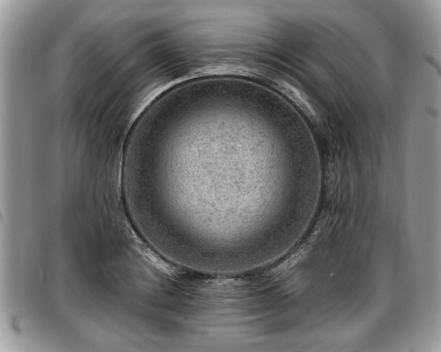 X0000096941228200802151207