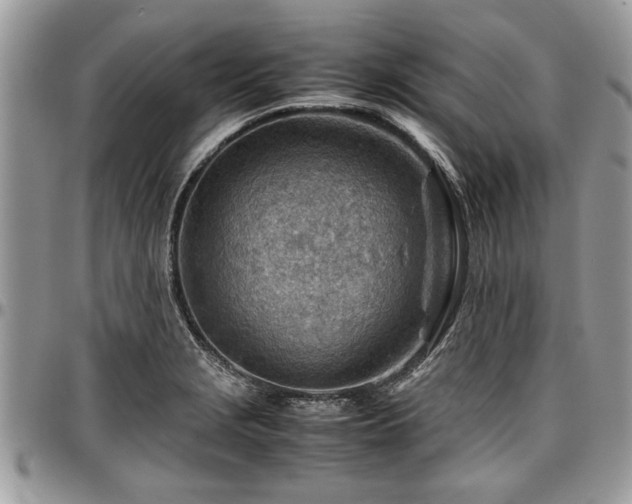 X0000096941229200802151207