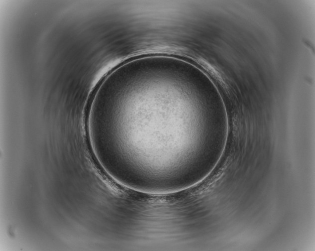 X0000096941230200802151207
