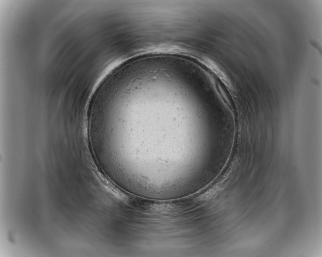 X0000096941232200802151207