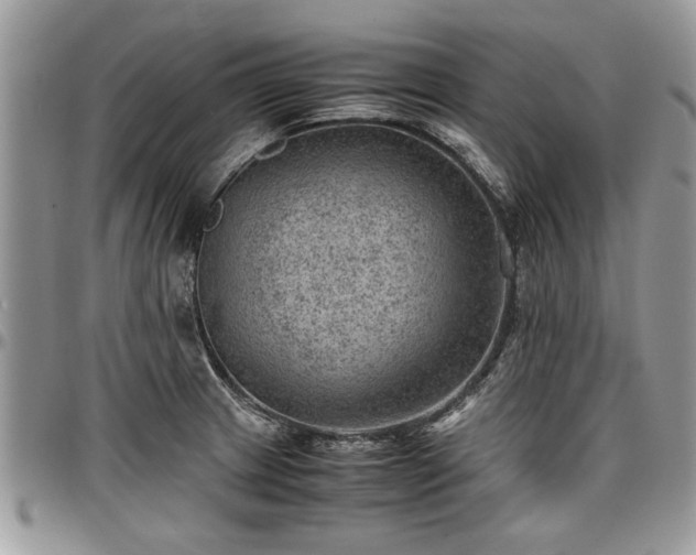 X0000096941233200802151207