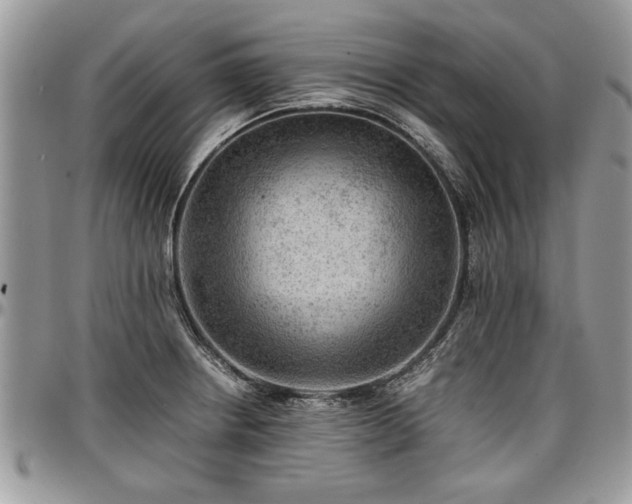 X0000096941234200802151207