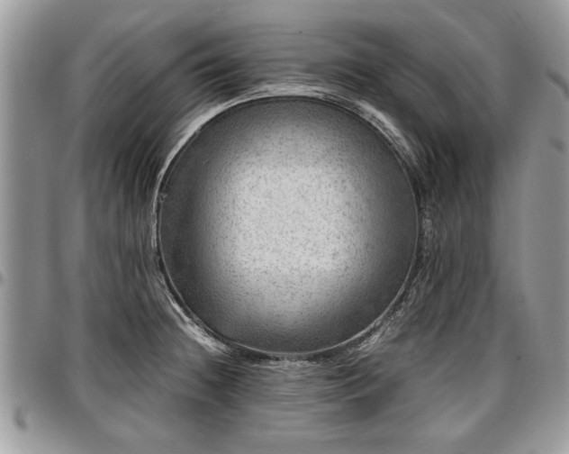 X0000096941236200802151207