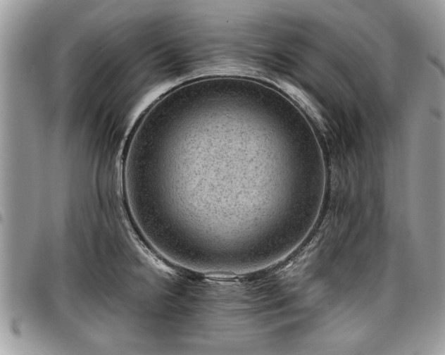 X0000096941238200802151207