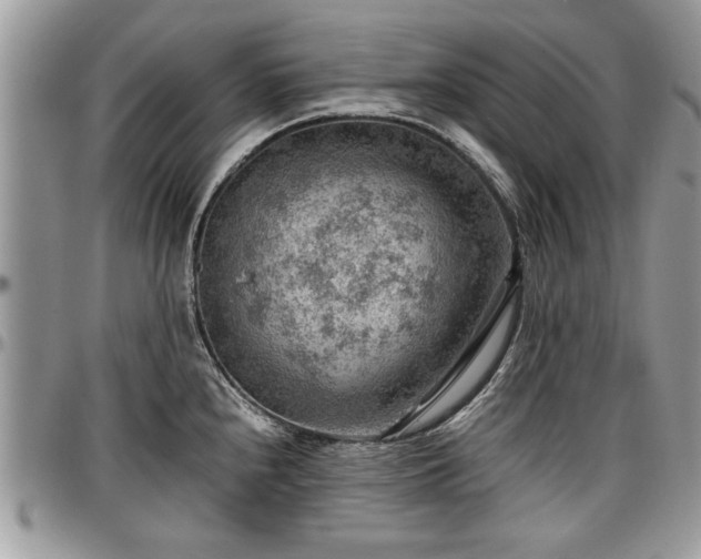 X0000096941240200802151207