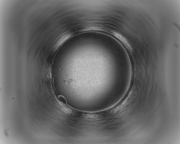 X0000096941241200802151207