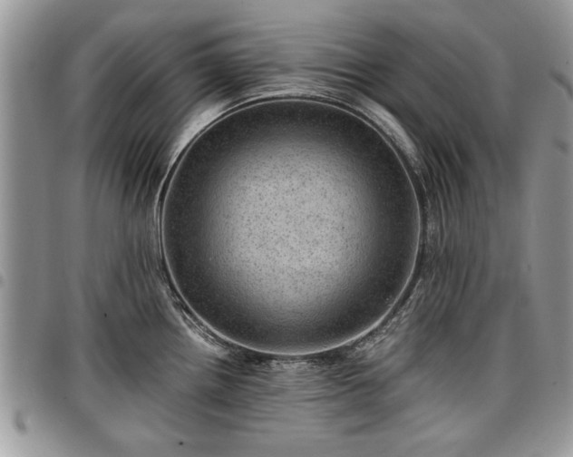 X0000096941242200802151207