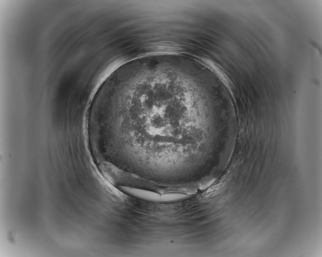 X0000096941243200802151207