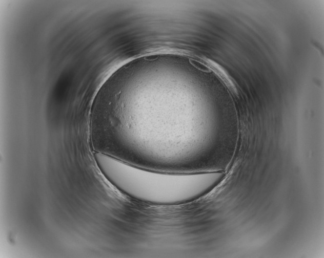 X0000096941244200802151207