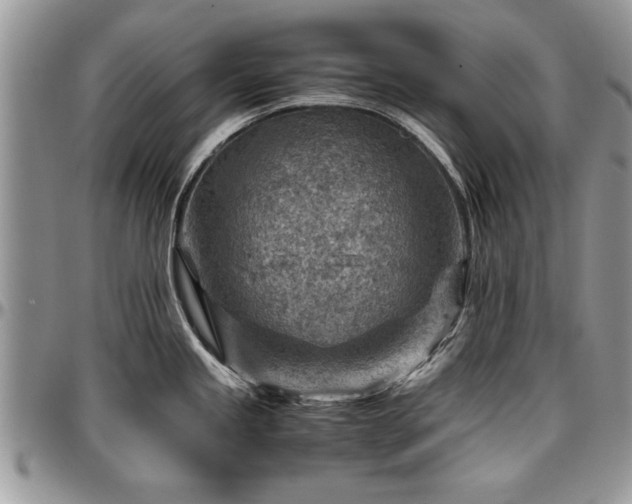 X0000096941245200802151207