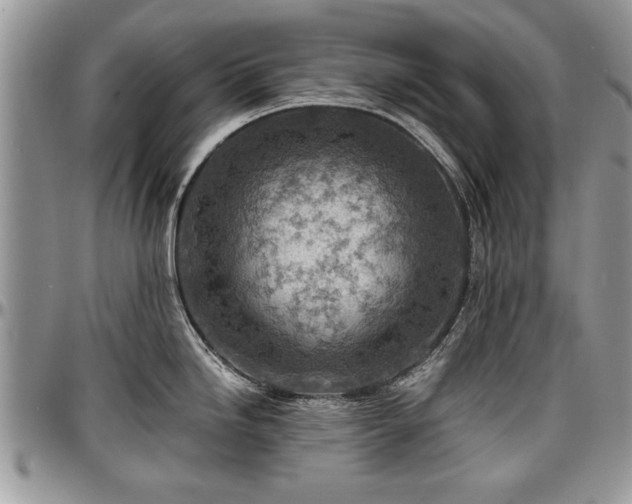 X0000096941246200802151207