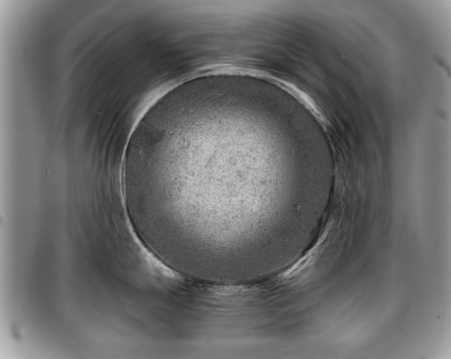 X0000096941247200802151207