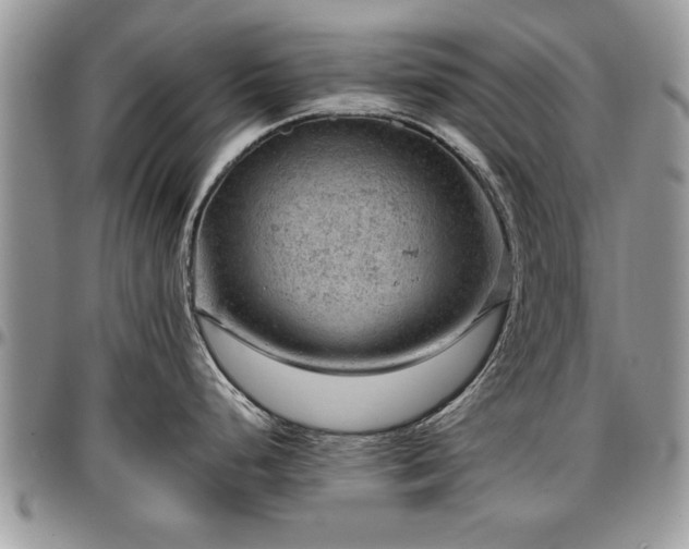 X0000096941248200802151207