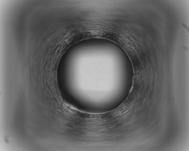 X0000096941249200802151207