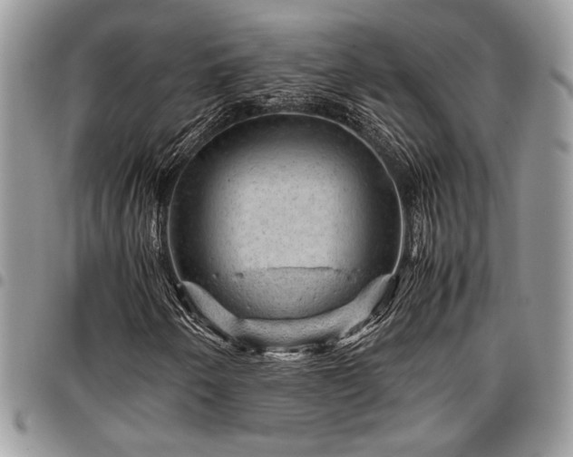 X0000096941250200802151207