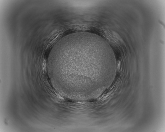 X0000096941251200802151207
