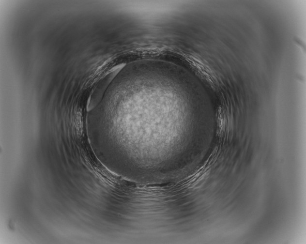 X0000096941252200802151207