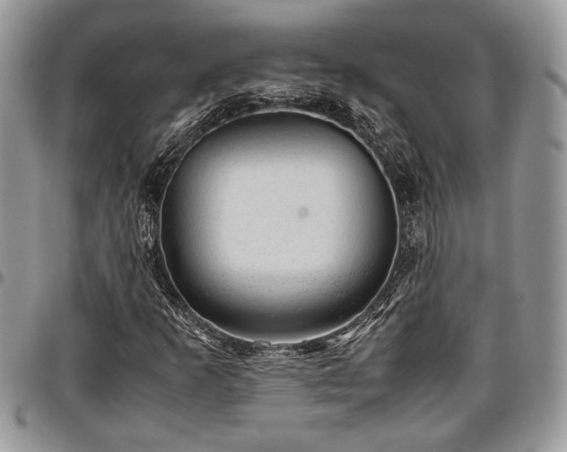 X0000096941253200802151207