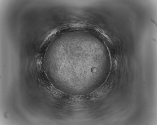 X0000096941254200802151207