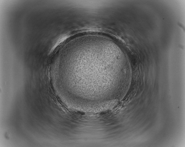 X0000096941255200802151207