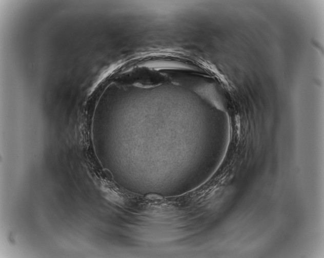 X0000096941256200802151207