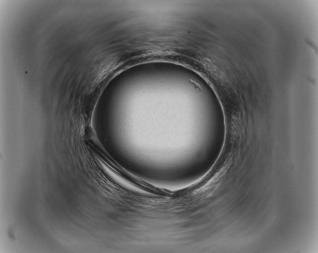 X0000096941257200802151207