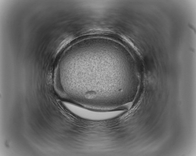 X0000096941259200802151207