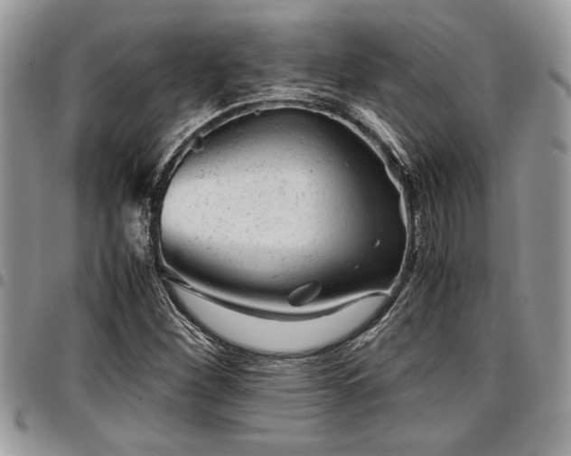 X0000096941260200802151207