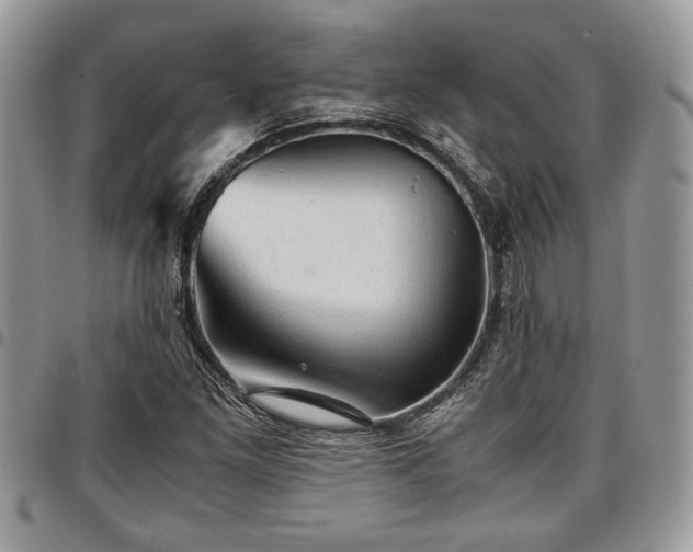 X0000096941261200802151207