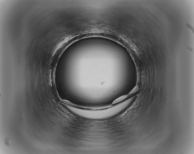 X0000096941262200802151207