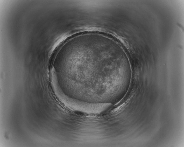 X0000096941263200802151206