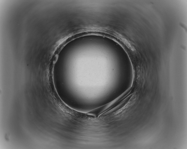 X0000096941264200802151206