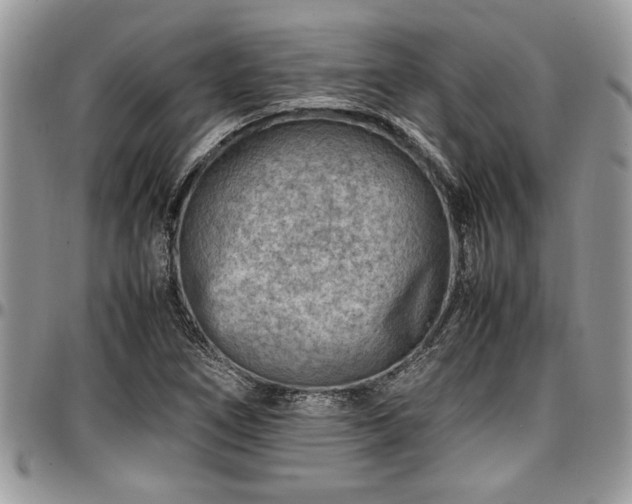 X0000096941266200802151206