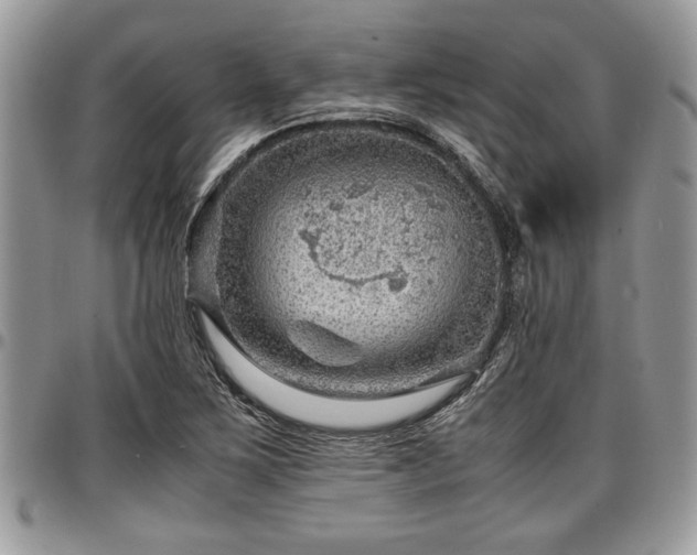 X0000096941267200802151206